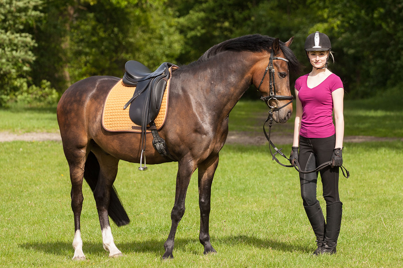 Stockfoto of a young, beautiful woman with a horse
