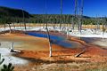 Black Sand Basin - Yellowstone Nationalpark - USA