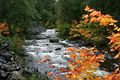 Salmon Cascades - Olympic Nationalpark - USA