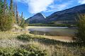 Athabasca River - Jasper Nationalpark - Kanada