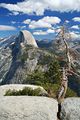 Aussicht vom Glacier Point - Yosemite Nationalpark - USA