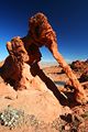 Elephant Rock - Falley of Fire - USA