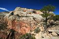 Aussicht von Angels Landing - Zion Nationalpark - USA