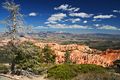 Bryce Point - Bryce Canyon Nationalpark - USA