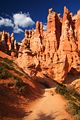 Queens Garden Trail - Bryce Canyon Nationalpark - USA