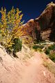 Weg zu den Lower Calf Creek Falls - USA