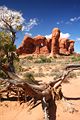 Windows Section - Arches Nationalpark - USA