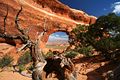 Partition Arch - Arches Nationalpark - USA