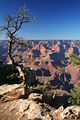 Mather Point - Grand Canyon Nationalpark - USA