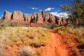 Courthouse Butte Loop bei Sedona - USA