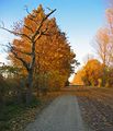 Herbst 2003