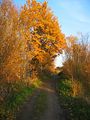 Herbst 2003