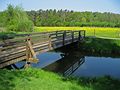 Große Aue, Frühling 2011