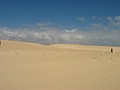 Sanddünen bei Corralejo