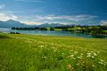 Nördlicher Forggensee