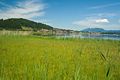 Westlicher Hopfensee, im Hintergrund Hopfen am See