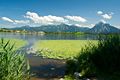 Nordwestlicher Hopfensee, im Hintergrund Hopfen am See