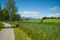 Auf dem Web vom Bannwaldsee nach Schwangau