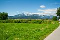 Auf dem Web vom Bannwaldsee nach Schwangau