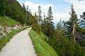 Auf dem Weg zur Bergstation