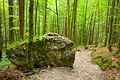 Auf dem Weg zur Eiskapelle