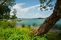 Tegernsee bei Bad Wiessee