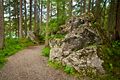 Weg durch den Wald am Eibsee