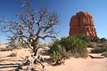 Beim Balanced Rock