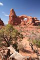 Windows Section - Turret Arch