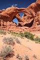Windows Section - Double Arch