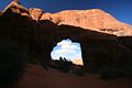 Pine Tree Arch