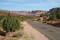 Scenic Drive