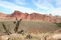 Freemont River Trail