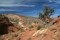 Freemont River Trail