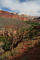 Freemont River Trail