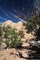 Hickman Bridge Trail