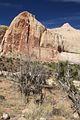 Hickman Bridge Trail