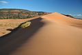 Coral Pink Sand Dunes