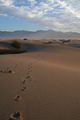 Sanddünen bei Stovepipe Wells