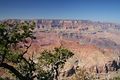 Desert View