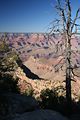 Grand View Point