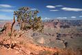Auf dem South Kaibab Trail