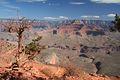 Auf dem South Kaibab Trail