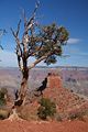 Auf dem South Kaibab Trail