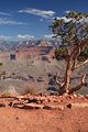 Auf dem South Kaibab Trail