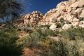 Barker Dam Trail
