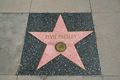 Walk of Fame in Hollywood