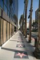 Walk of Fame in Hollywood