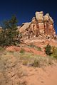 Weg zu den Lower Calf Creek Falls