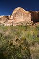 Weg zu den Lower Calf Creek Falls